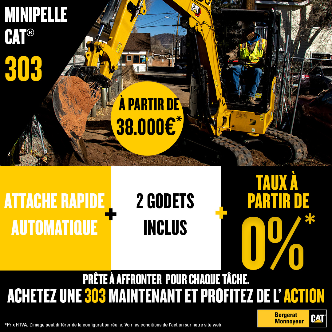 Cat 303