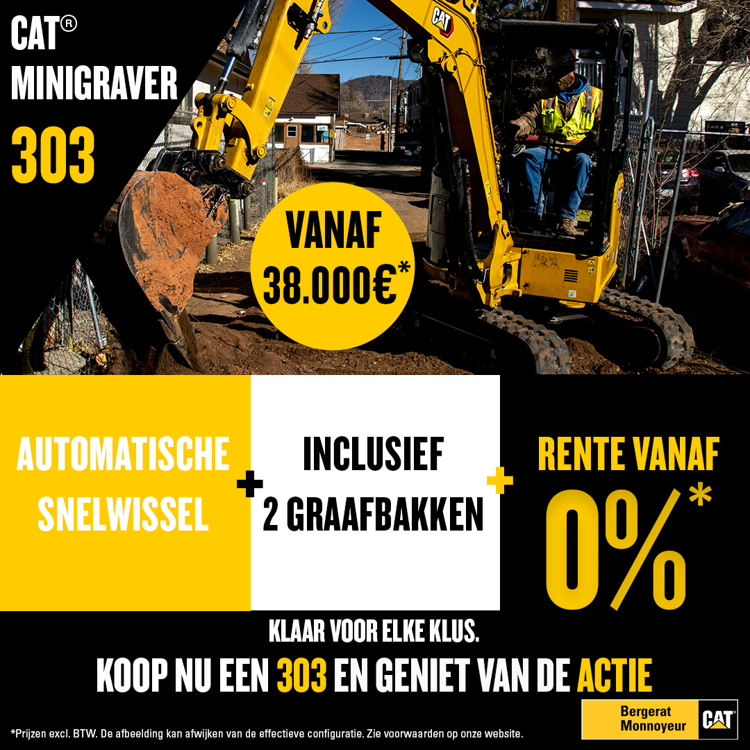 Cat 303