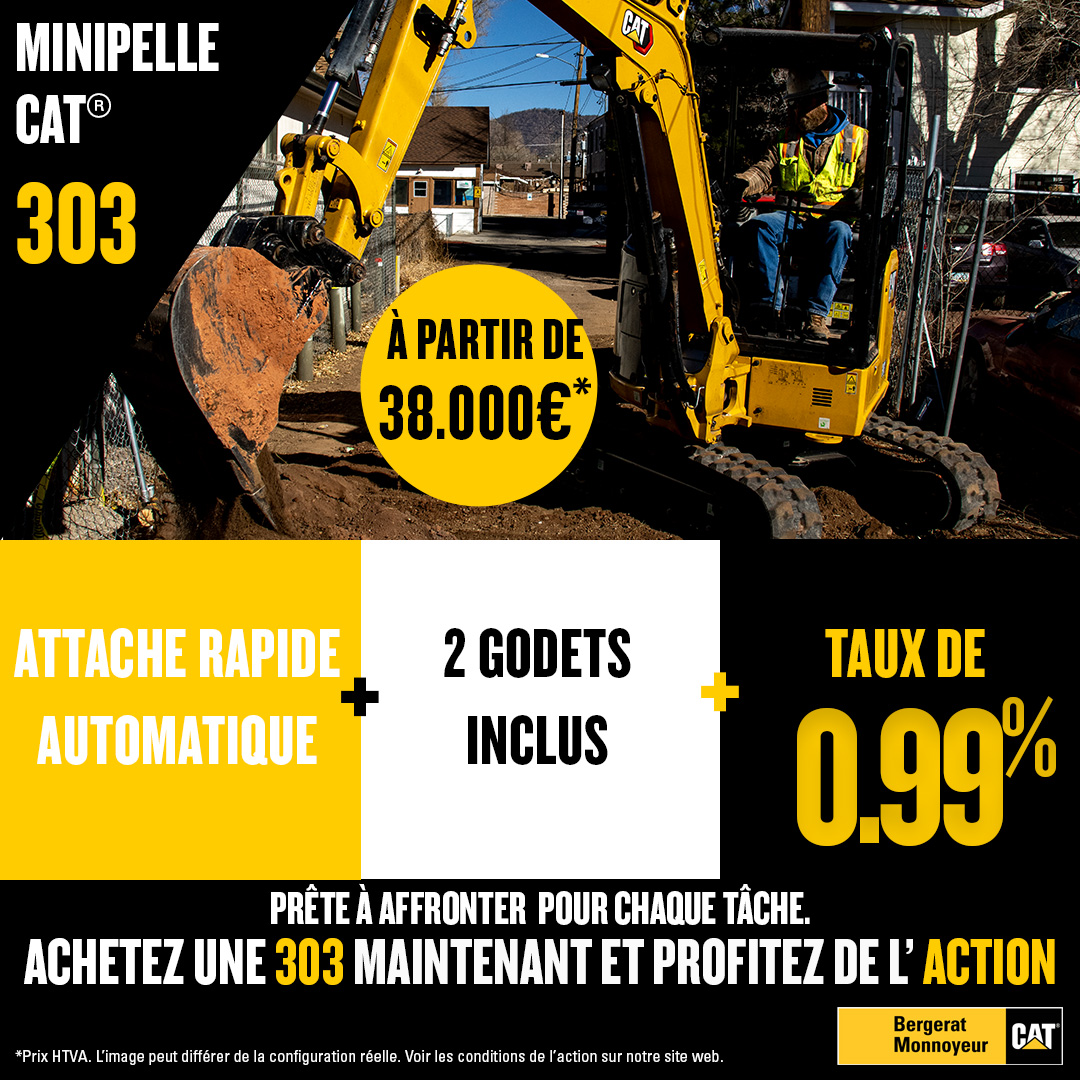 Cat 303