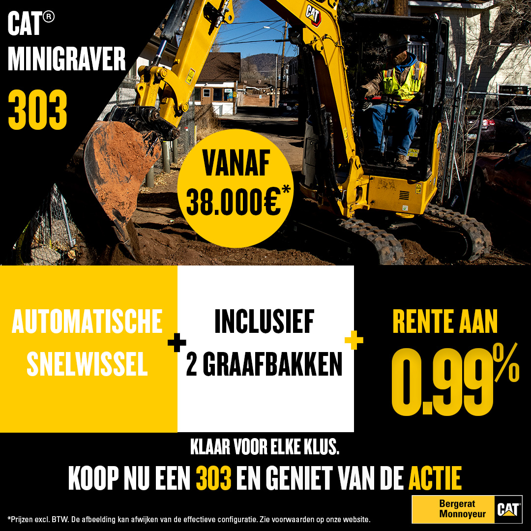 Cat 303