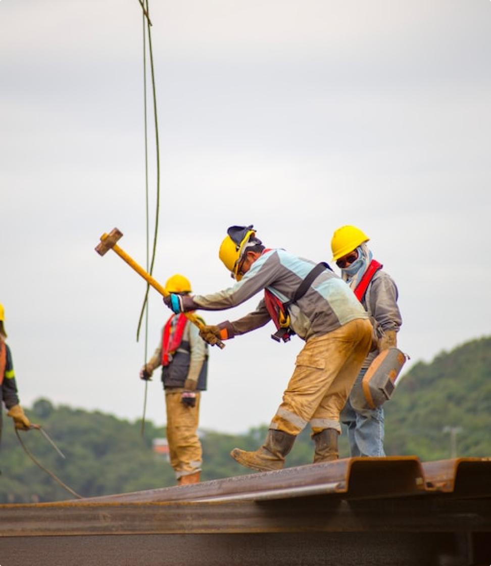 Discovering the Unique Personality Traits of BM-New Cats