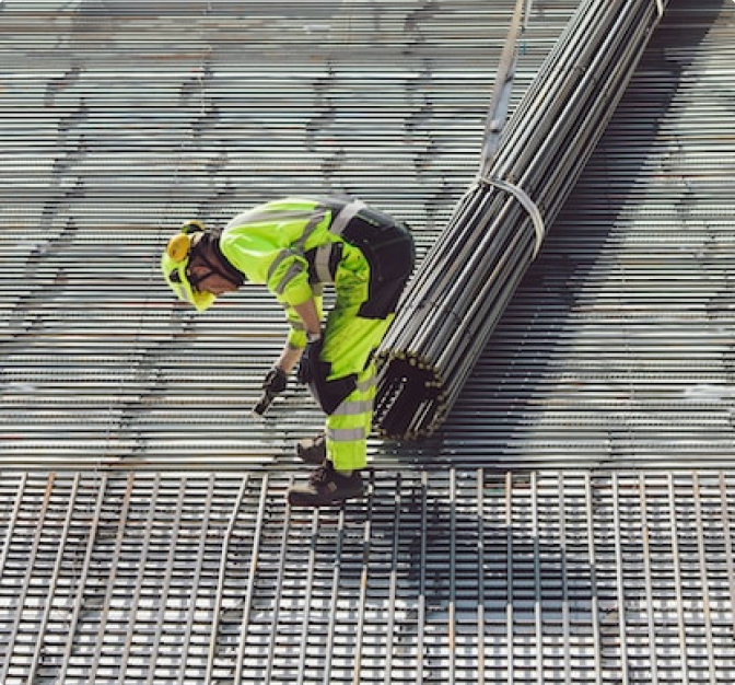 Unveiling the Origins and History of the BM-New Cat Breed